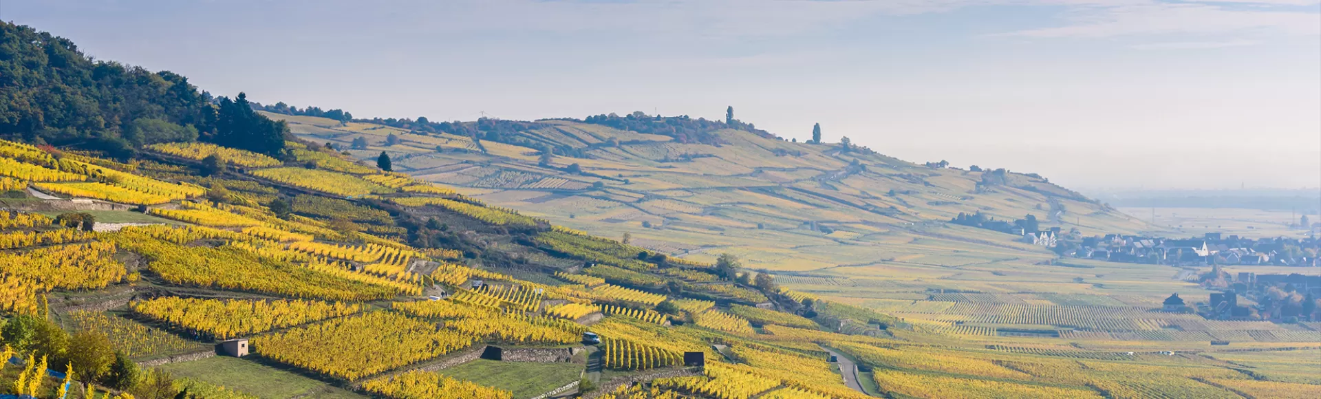 Conseiller en gestion de patrimoine à Mulhouse